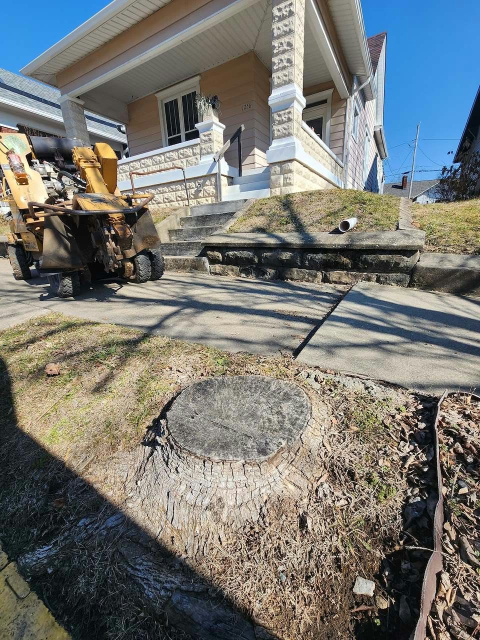 Stump grinder parked at a residential curb before grinding a stump