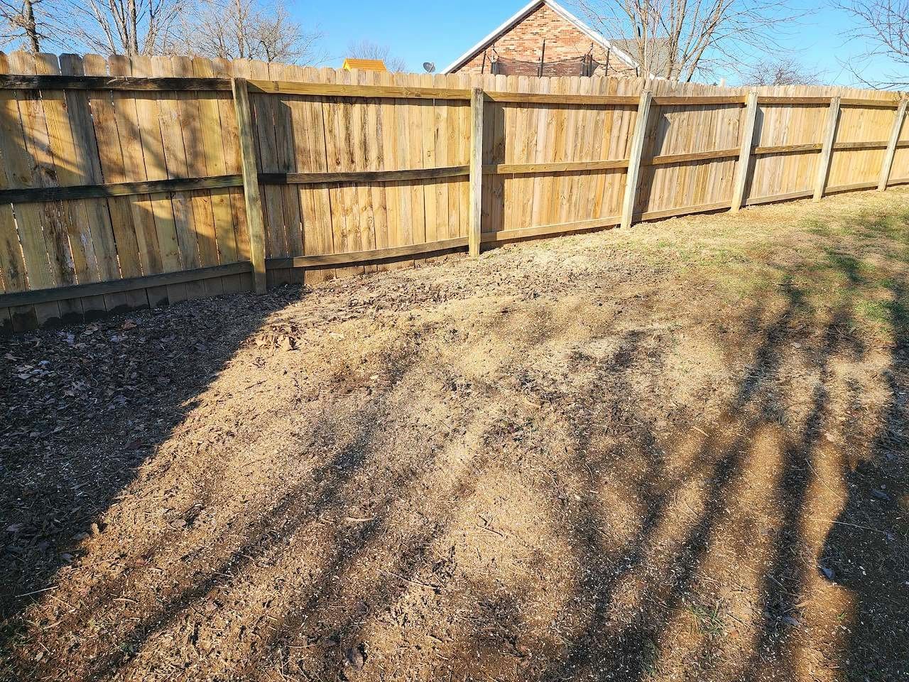 Cleared backyard fence line after brush and stump removal