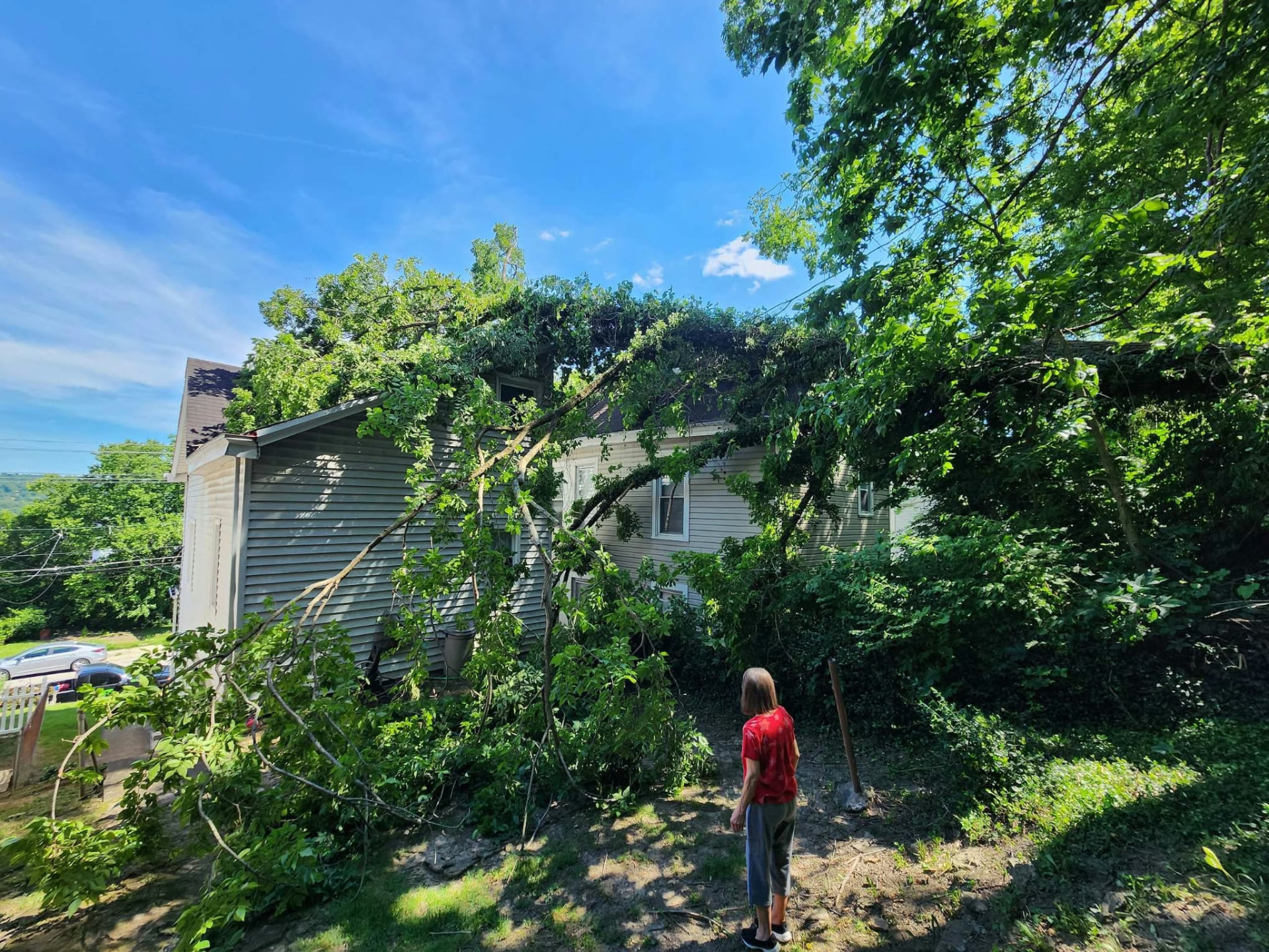Large tree branches down on a house after a storm